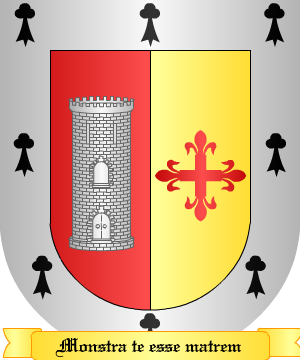 ESCUDO ALEATORIO